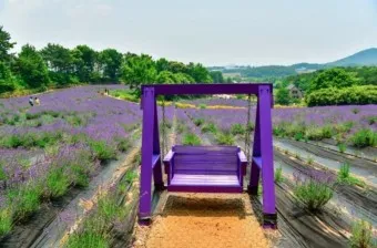 고창 맛집 베스트10 숨겨진 나만 아는 맛집_9