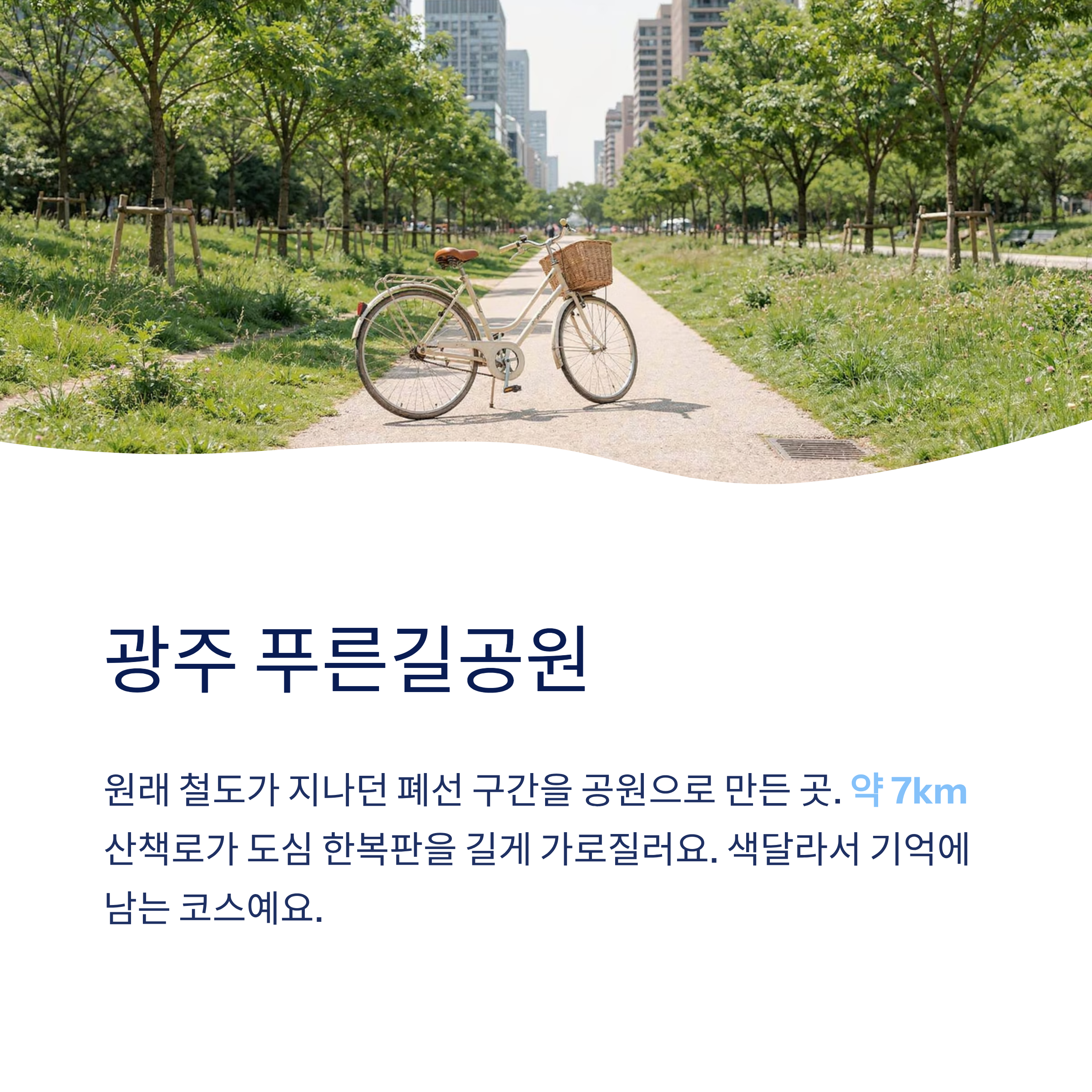 산책하기 좋은 도시 공원 전국 추천 — 진짜 걸어본 사람만 아는 숨은 명소들