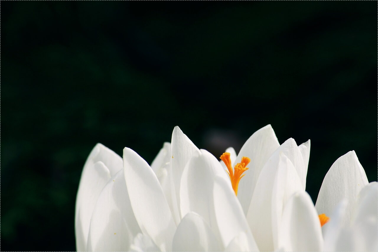 이삭토스트 창업비용