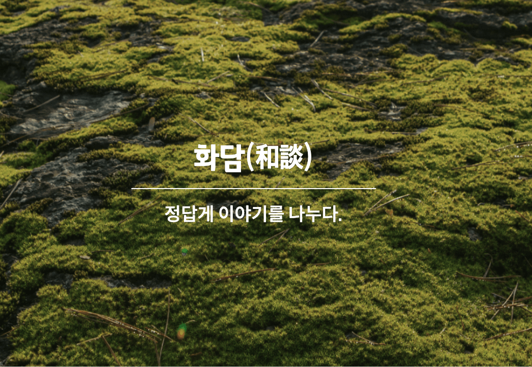 화담숲 벚꽃 예약