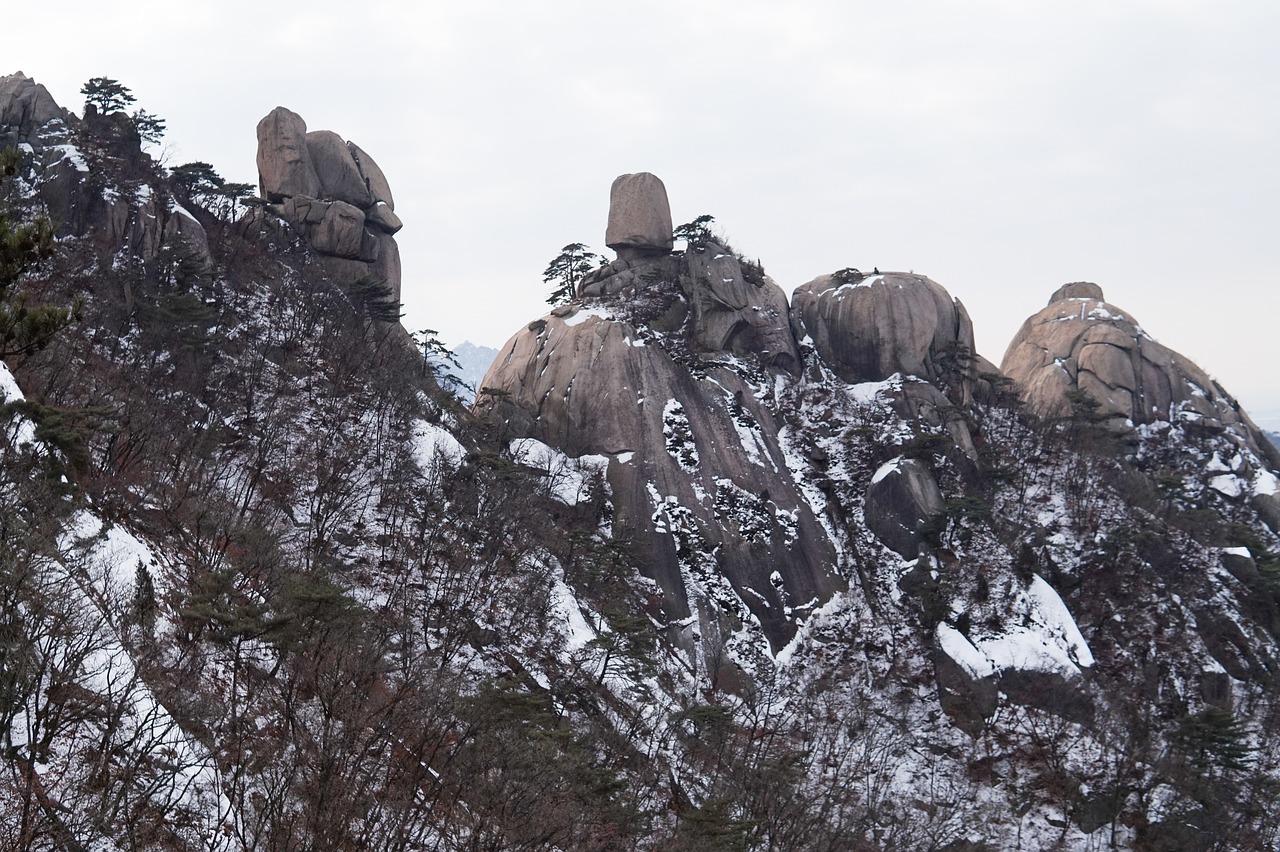 남한산성의 겨울