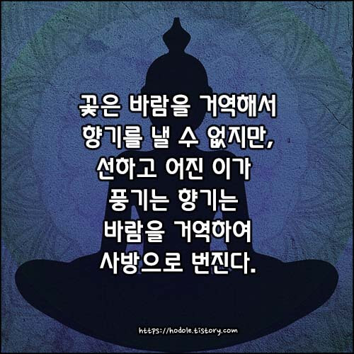 불교-명언