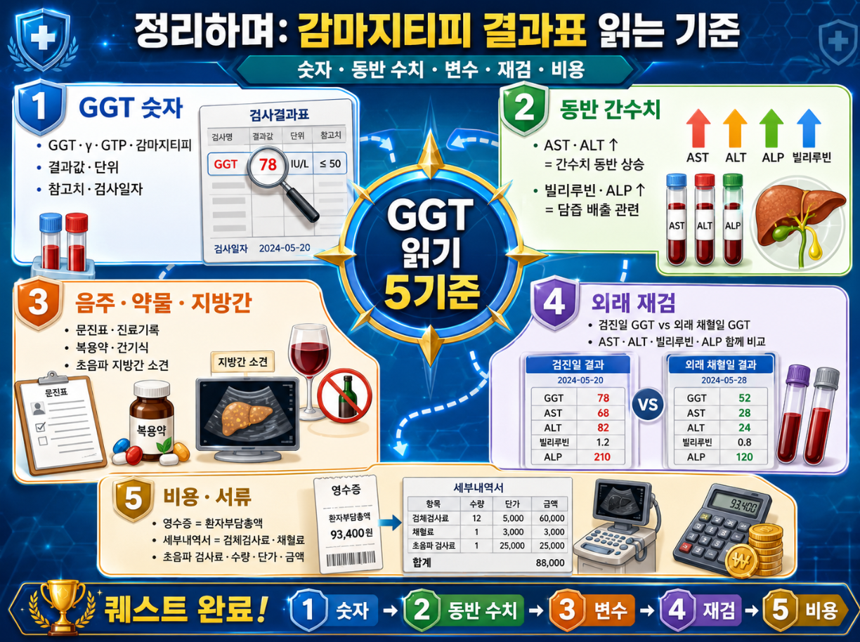 감마지티피 결과표 읽는 기준 정리 인포그래픽으로 GGT 숫자, 동반 간수치, 음주·약물·지방간 변수, 외래 재검, 비용·서류의 5가지 읽기 기준을 요약한 이미지