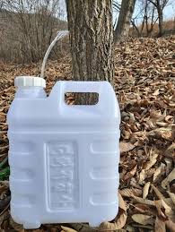 고로쇠물 보관방법