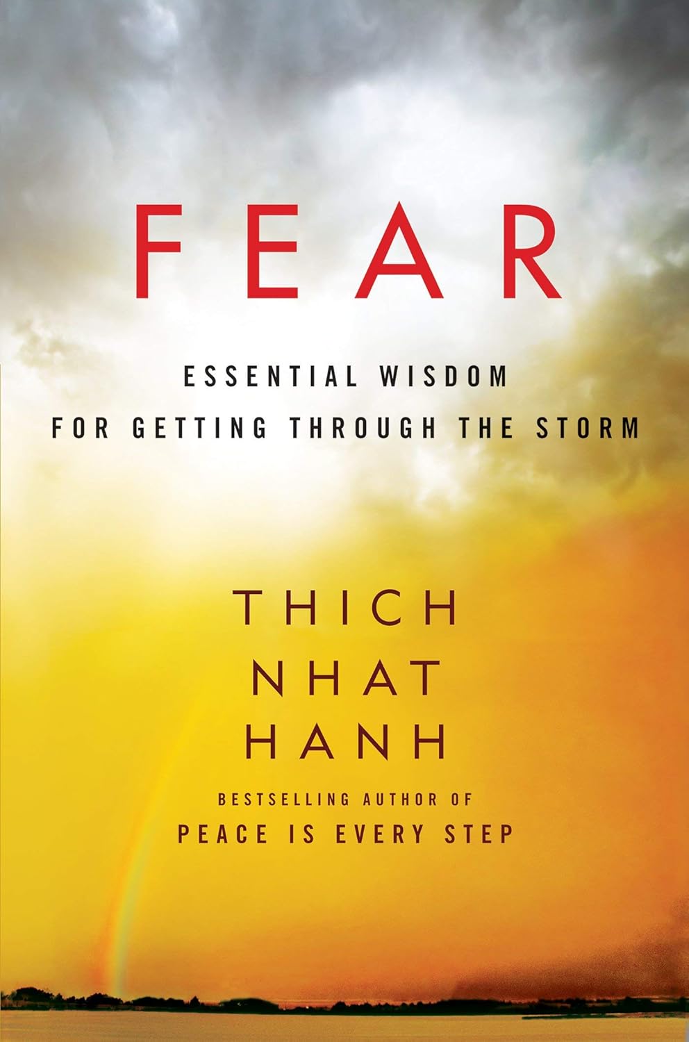 Thick Nhat Hanh_Fear