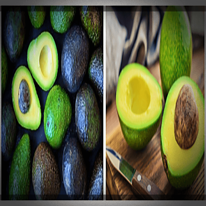 아보카도-열매