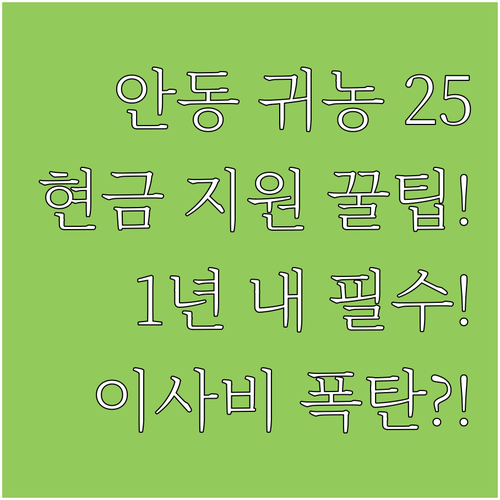 안동시 귀농 가족 2025 이사비 현..