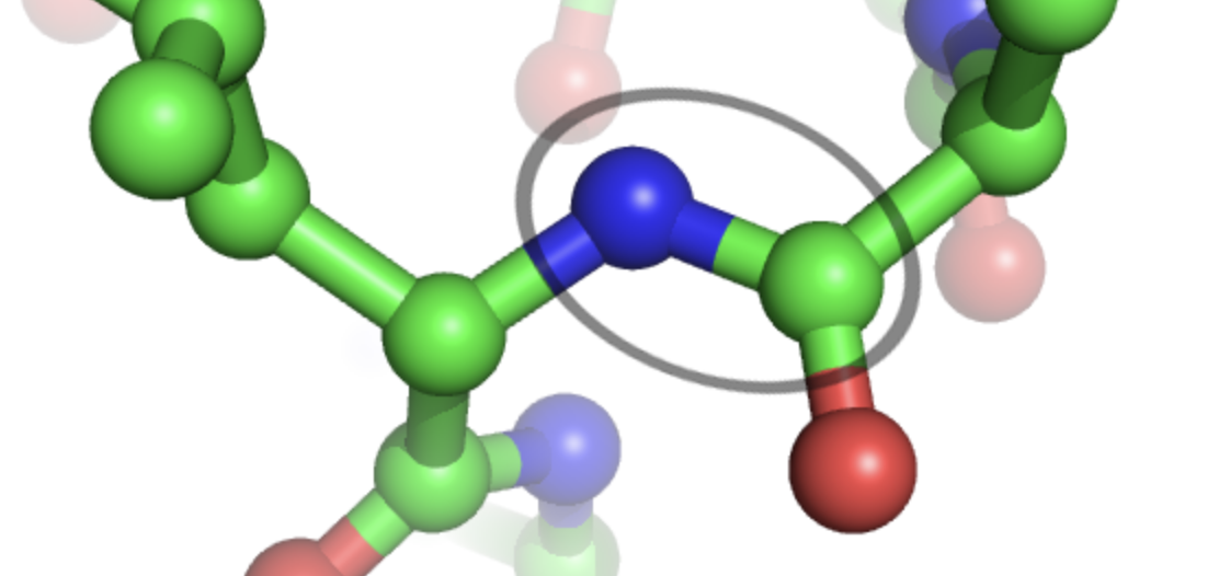 펩타이드 성분 효능 및 종류 비교 분석 (피부, 탄력, 주름) 사진