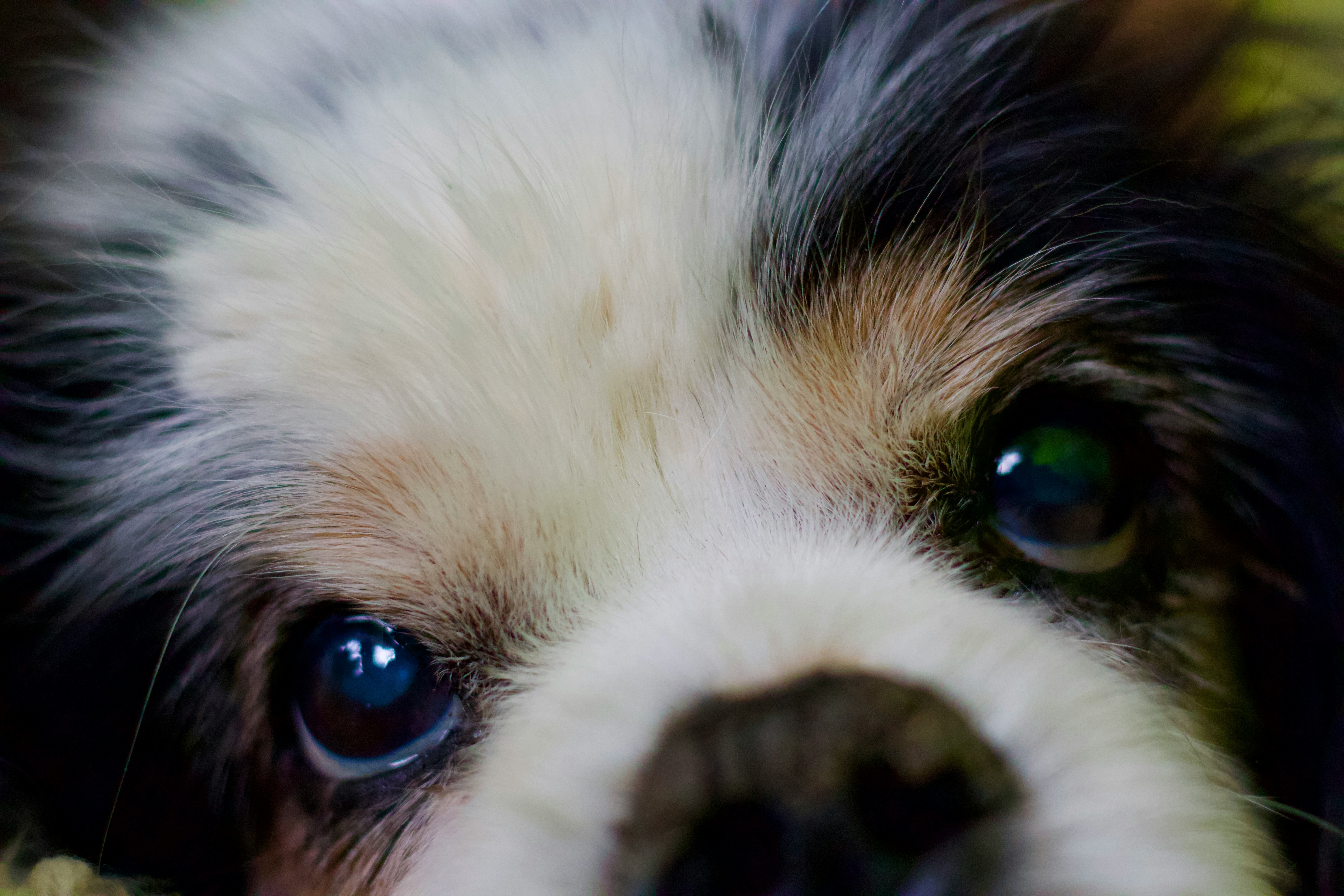 알레르기 반응 눈곱 변환