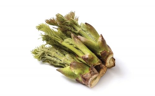 두릅 효능 및 부작용