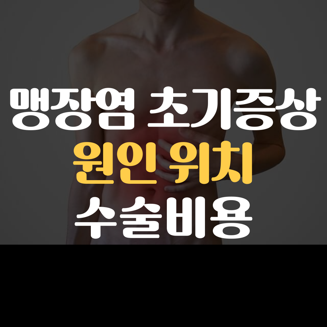 맹장염 초기증상 원인 수술 비용 위치