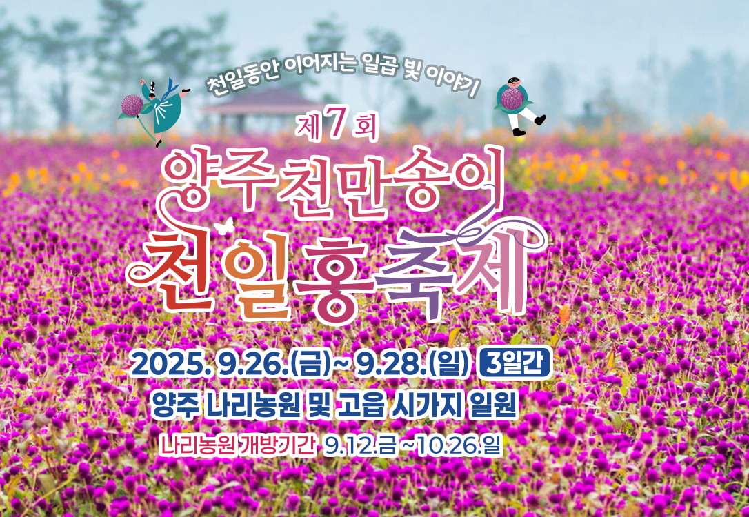 천일홍축제의 모습