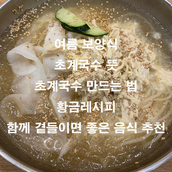 여름 보양식 초계국수 뜻 초계국수 만드는 법 황금레시피 함께 곁들이면 조좋은 음식 추천