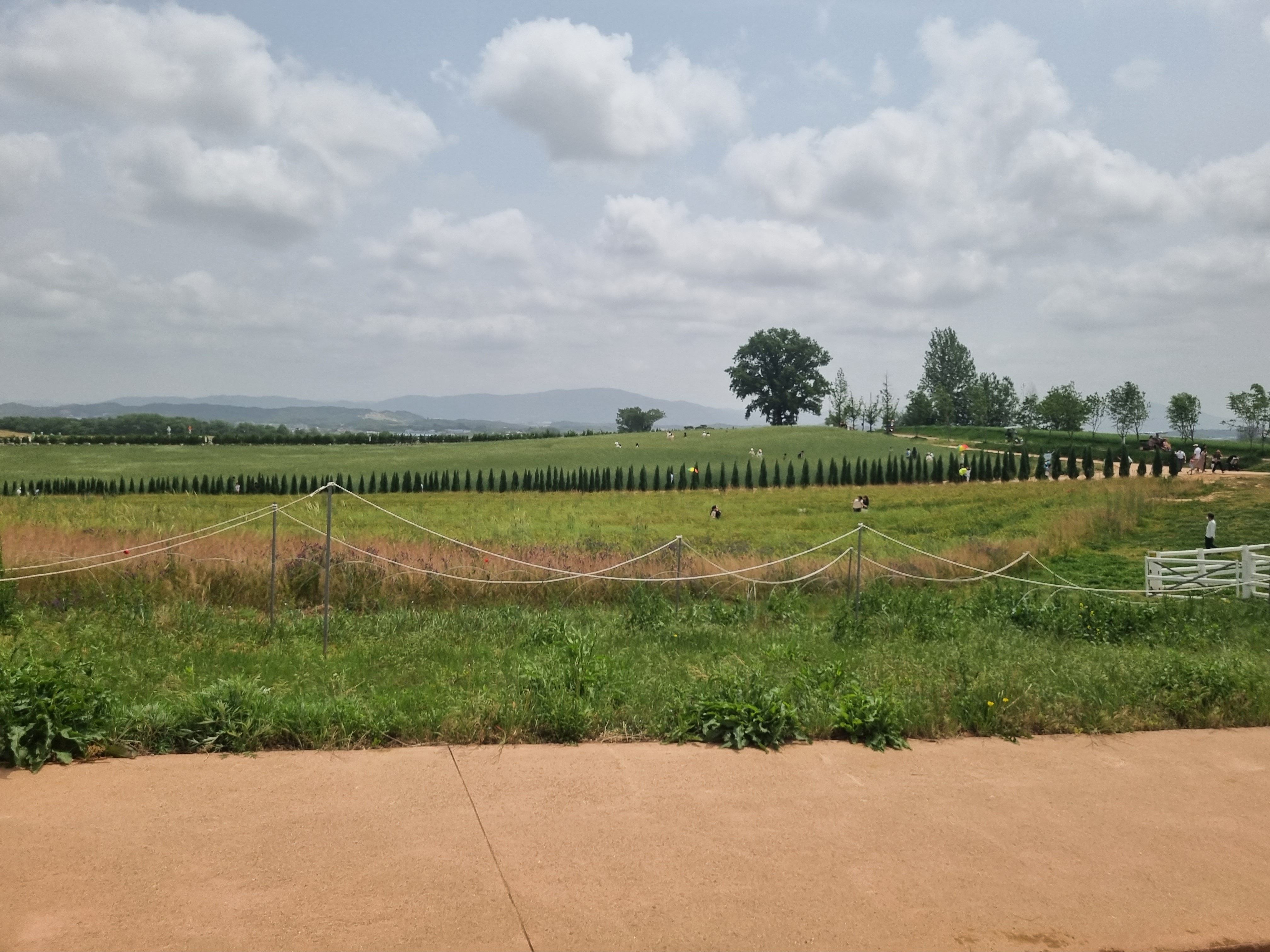 아이와 함께 가기 좋은 곳