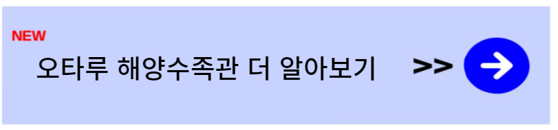 홋카이도 여행