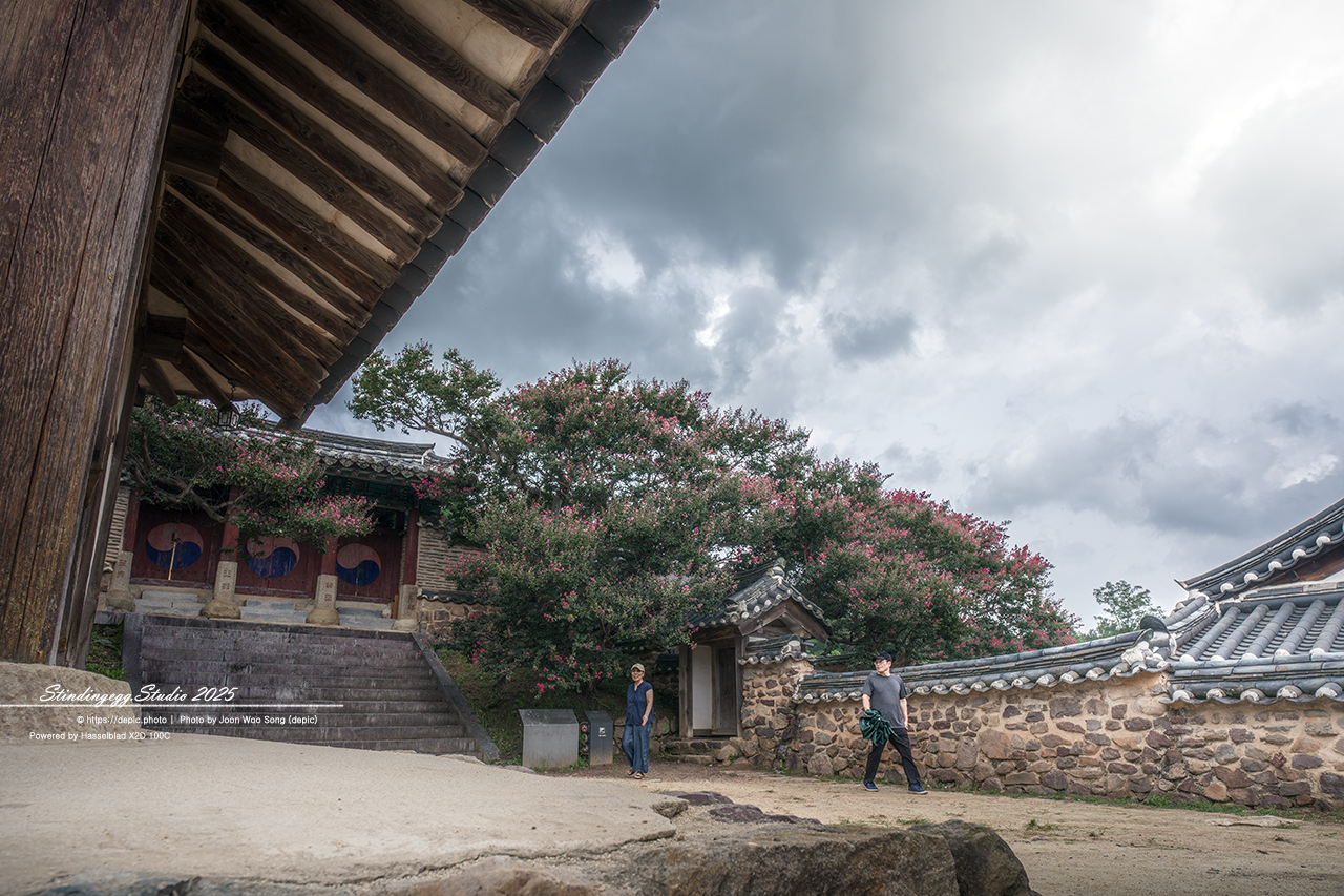 #안동 #서원 #유학 #병산서원 #배롱꽃
