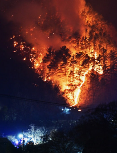 산불 피해 사진