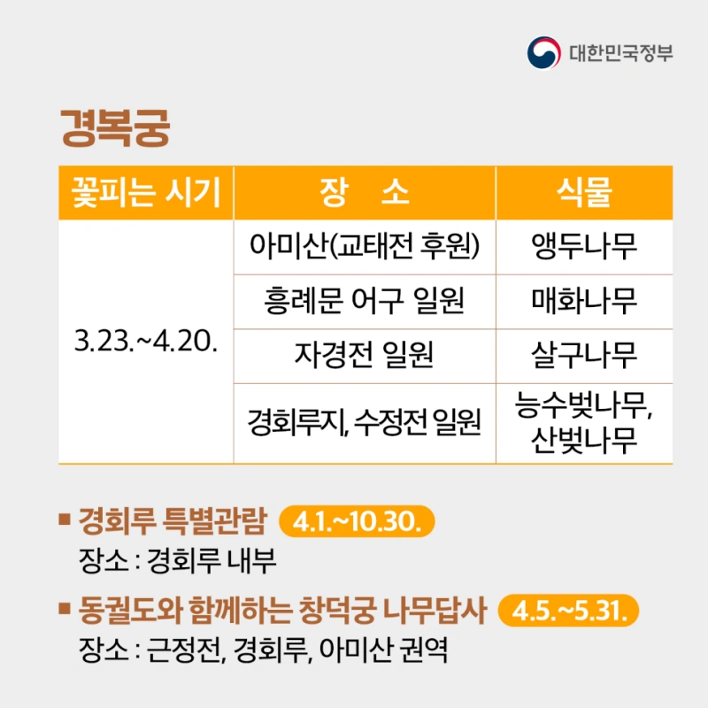 대한민국정부 블로그&#44; 정책공감의 홍보자료 - 서울 4대궁 봄꽃놀이 (경복궁)