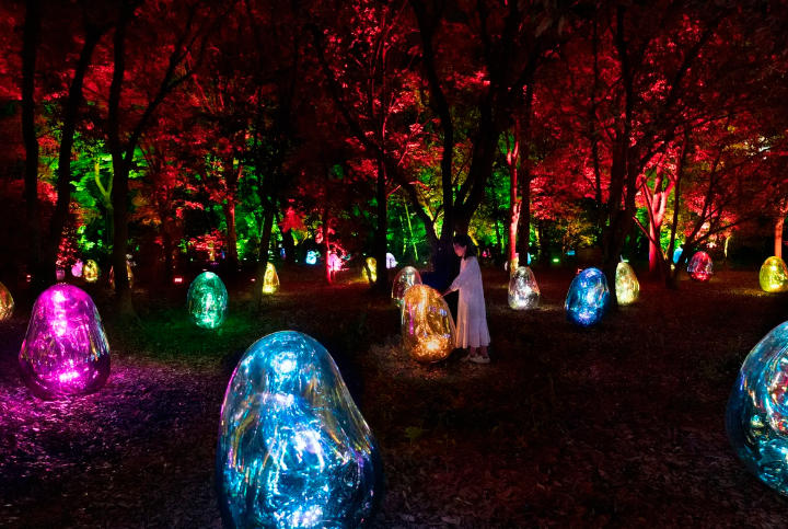 지금 핫 한 오사카 가볼만한곳 BEST 06 팀랩 야식 무료 온천호텔 유니버셜 스튜디오 포함