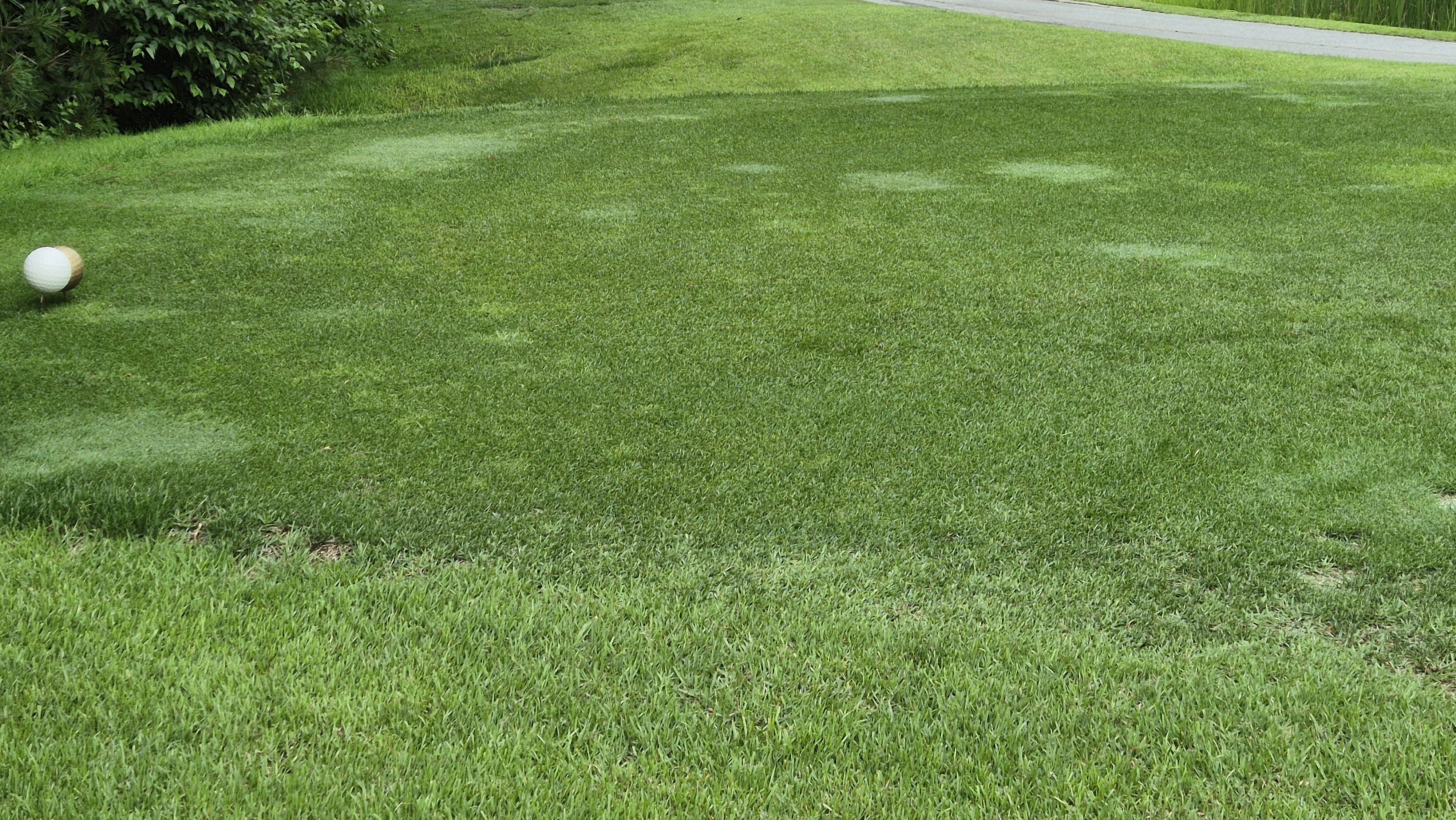 뉴스프링빌cc 라운드 후기