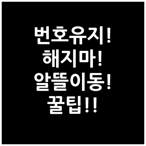 기존 번호 유지하는 알뜰폰 번호이동 ..