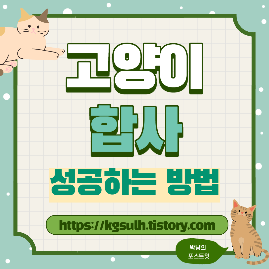 고양이 합사 01_1.jpg