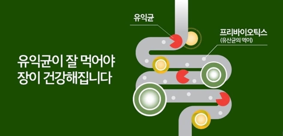 유익균이 많아야 건강체