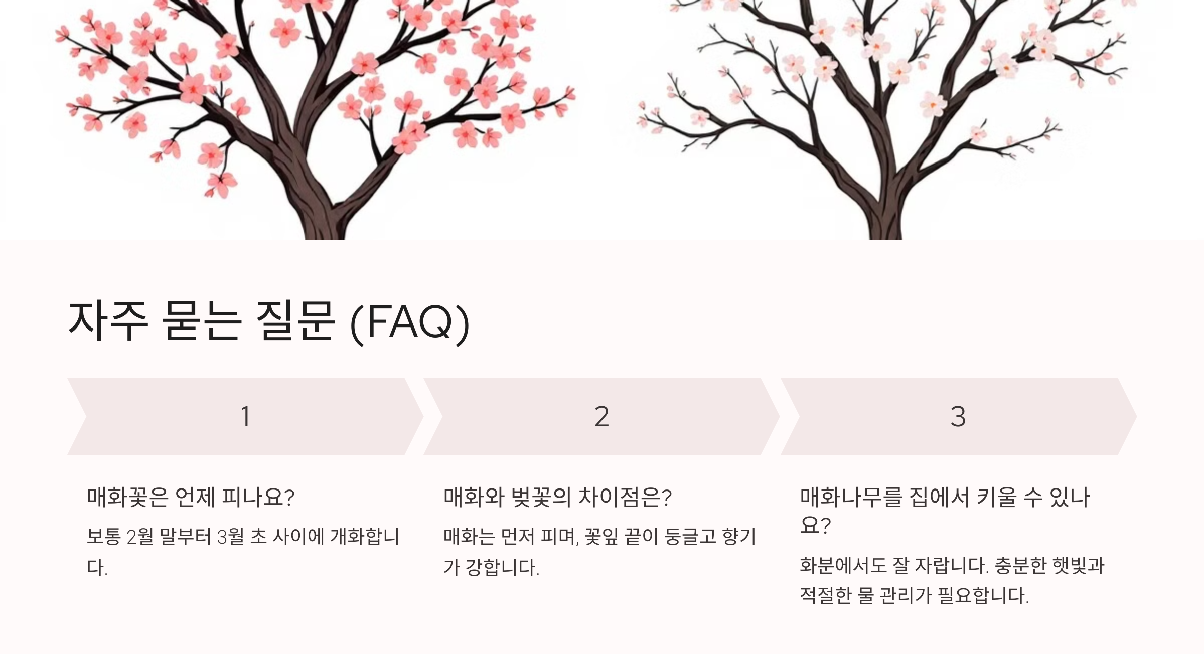 매화꽃 사진