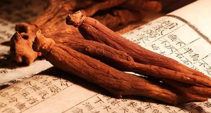 홍삼 액기스 건강보조식품 효능