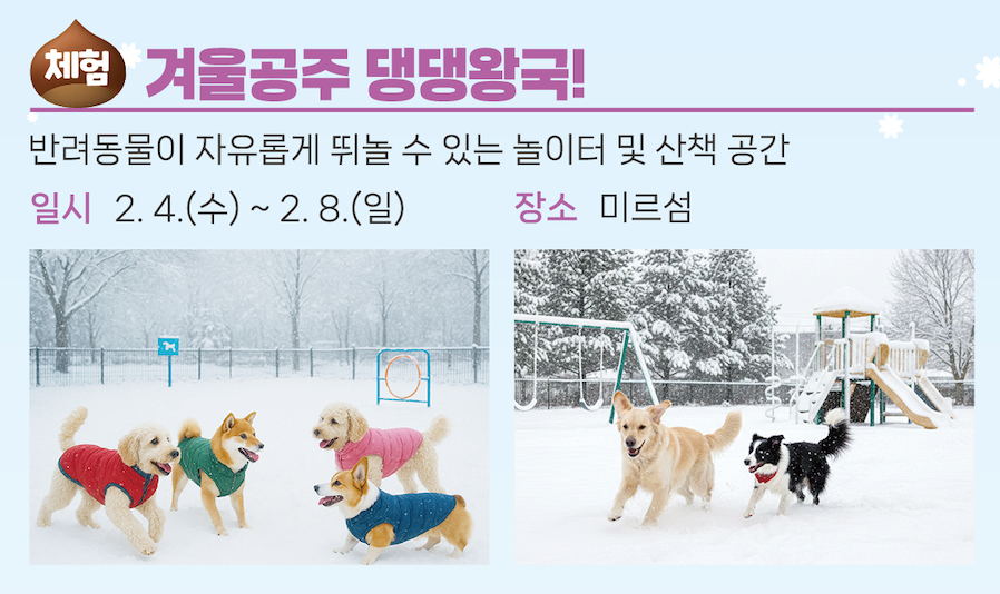 겨울 공주 군밤축제