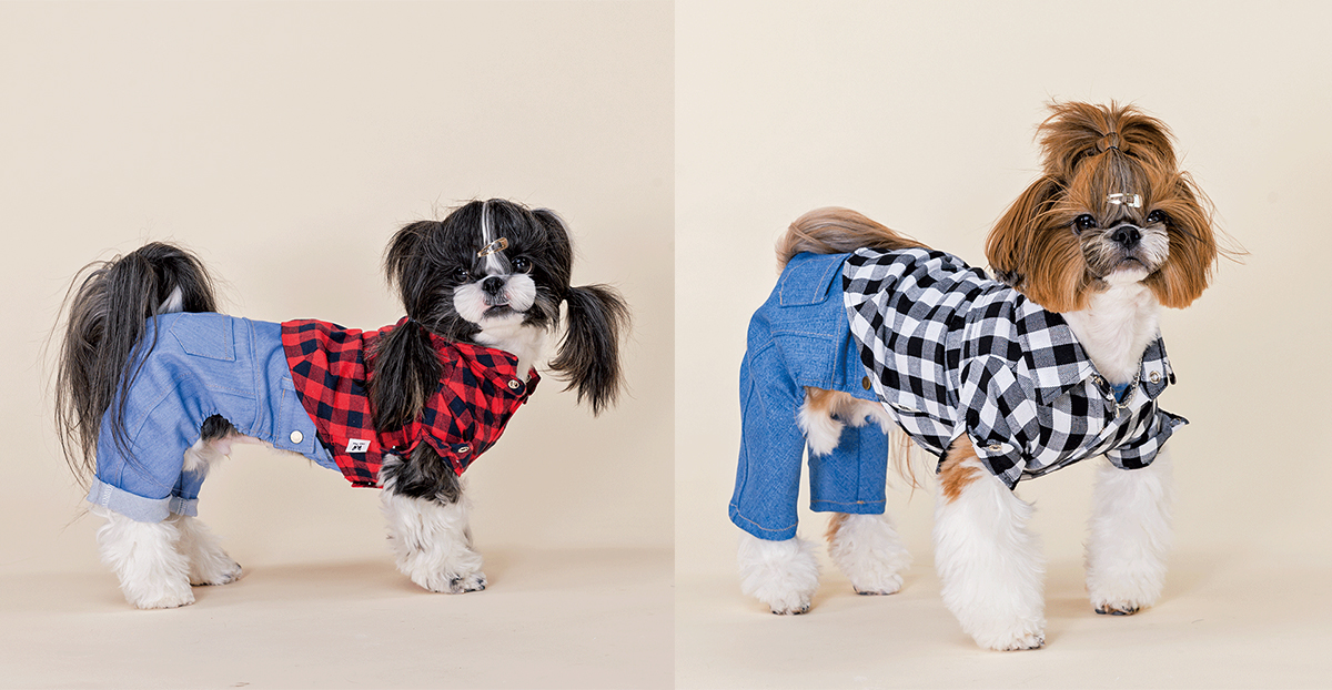 헤이펫(기본 셔츠, 청바지)