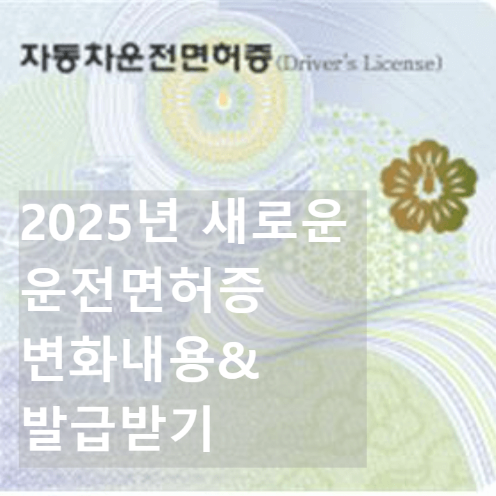 2025년 새롭게 바뀐 운전면허증 발급 /주요변화