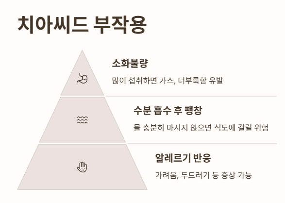 치아씨드 부작용
