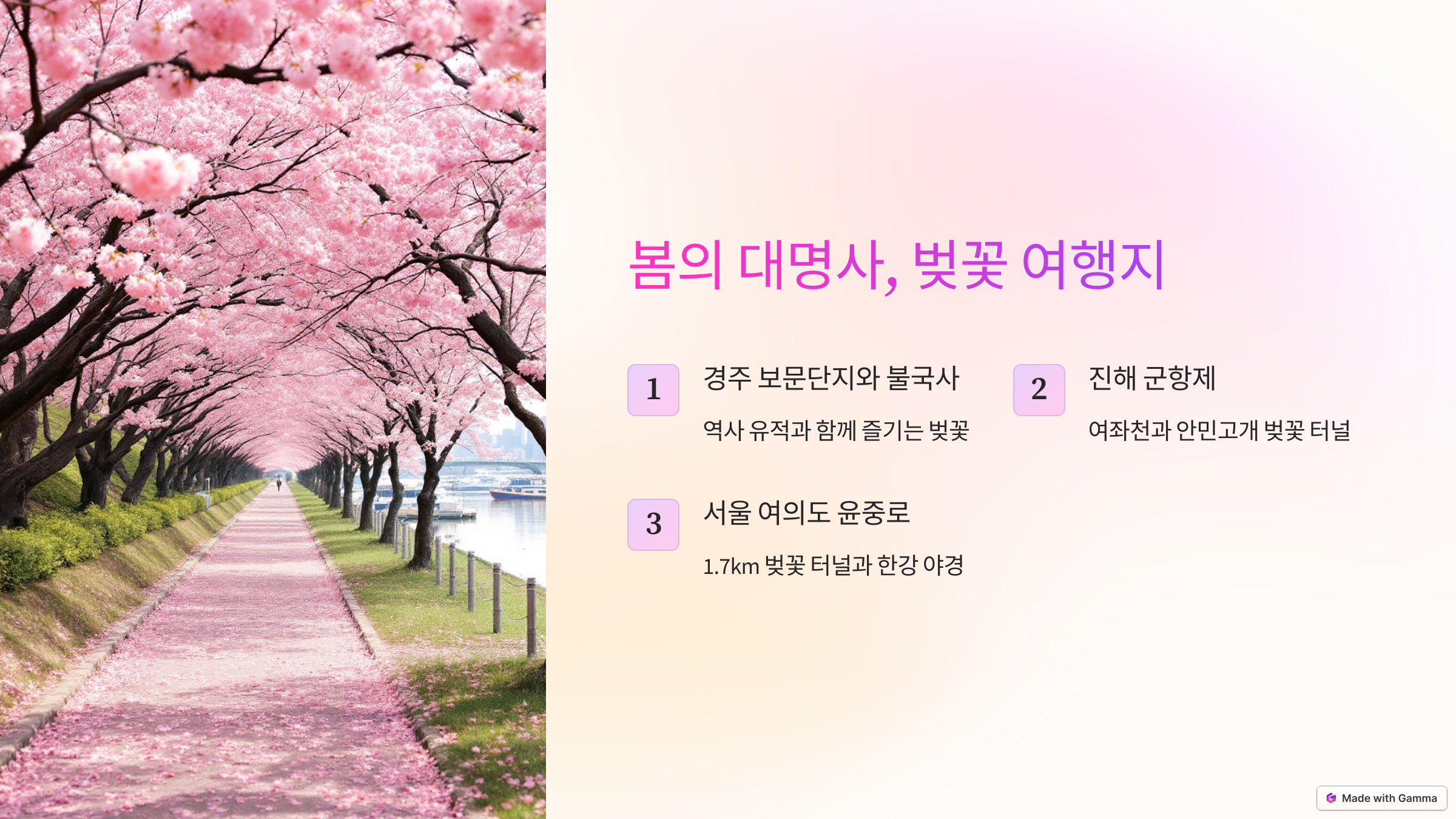 봄의 대명사, 벚꽃 여행지