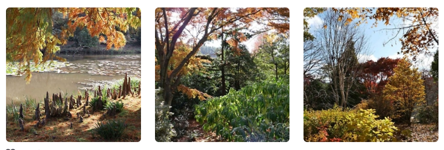 천리포 수목원 가을축제