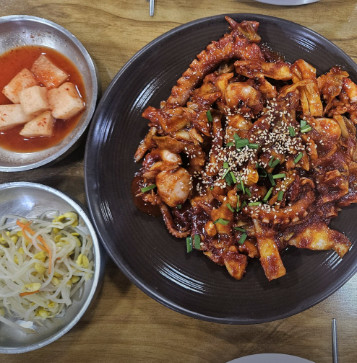 오늘N 할매식당 수원 낙지덮밥 낙지볶음 맛집