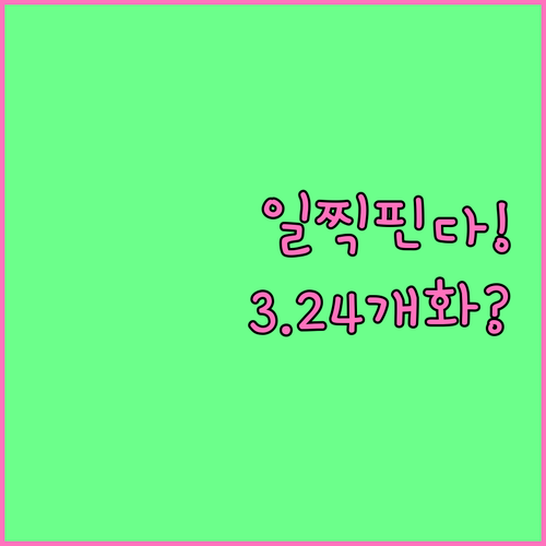 올해 광주 동구 벚꽃 일찍 핀다 3월..