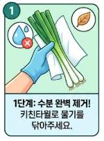 대파 보관법