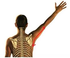 겨드랑이 통증 원인&amp;#44; 겨드랑이 통증 치료방법&amp;#44; 왼쪽&amp;#44; 오른쪽