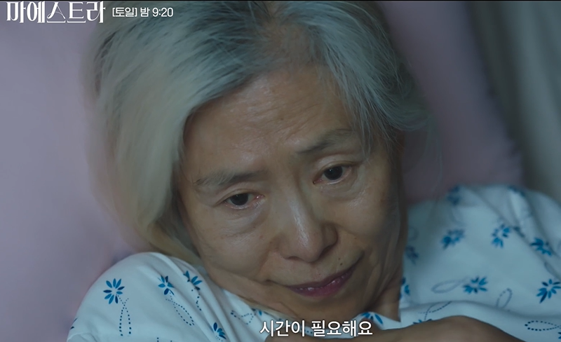 드라마 마에스트라