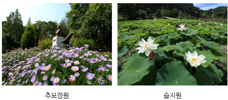 태안 천리포수목원