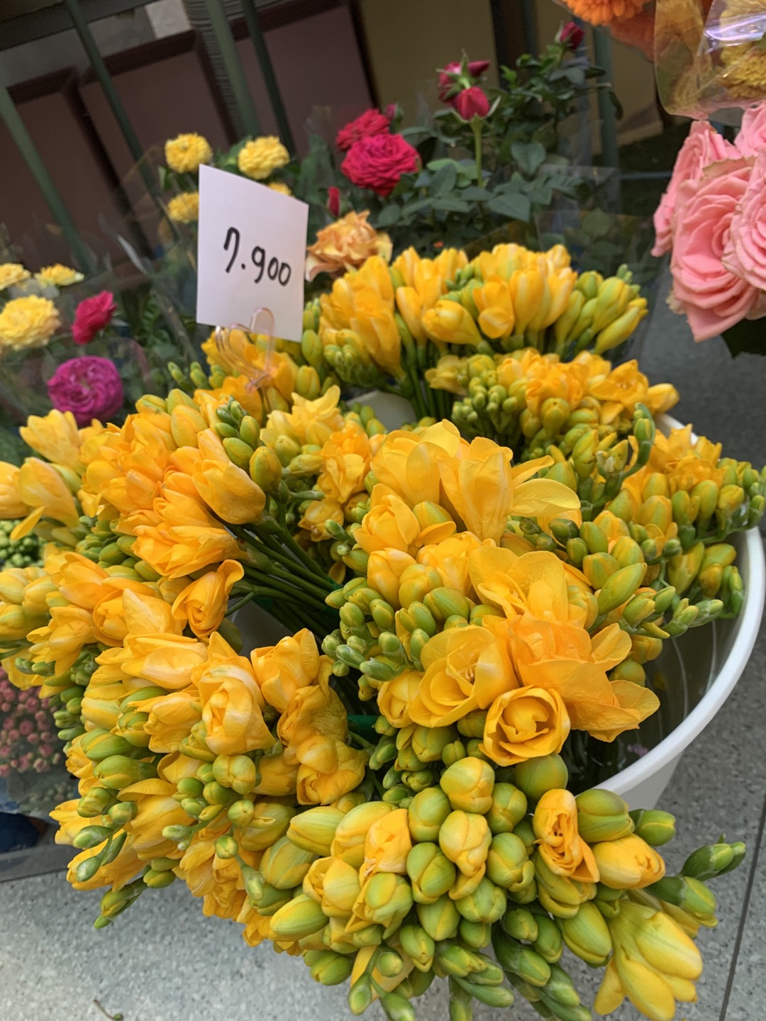 용인 기흥 롯데 아울렛 꽃