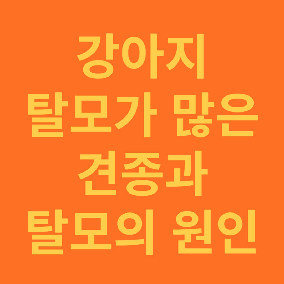 강아지 탈모의 이유와 털 잘 빠지는 대표적 견종