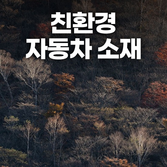 친환경 자동차 소재