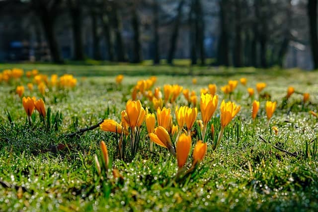겜스고를 통해 스포티파이 저렴하게 가입하기