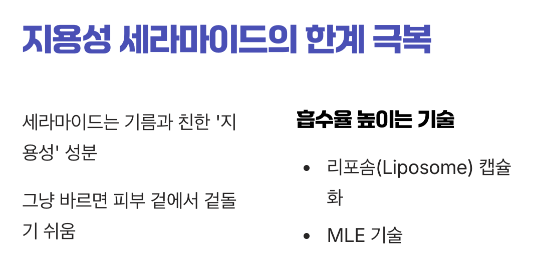 흡수율을 높이는 '리포솜' 기술