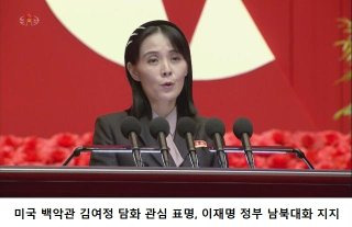 김여정 담화 통일부 대응