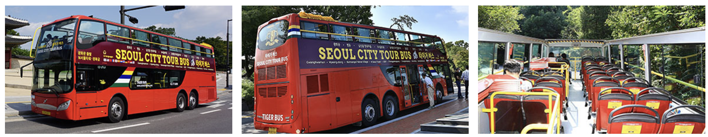 서울시티투어버스 오픈2층 버스