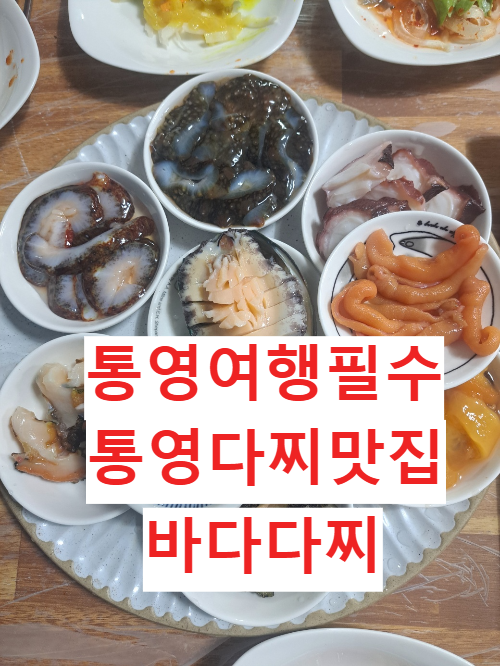 통영다찌맛집 바다다찌 통영에서 꼭 먹어야 한다는 통영 해산물 다찌 요리