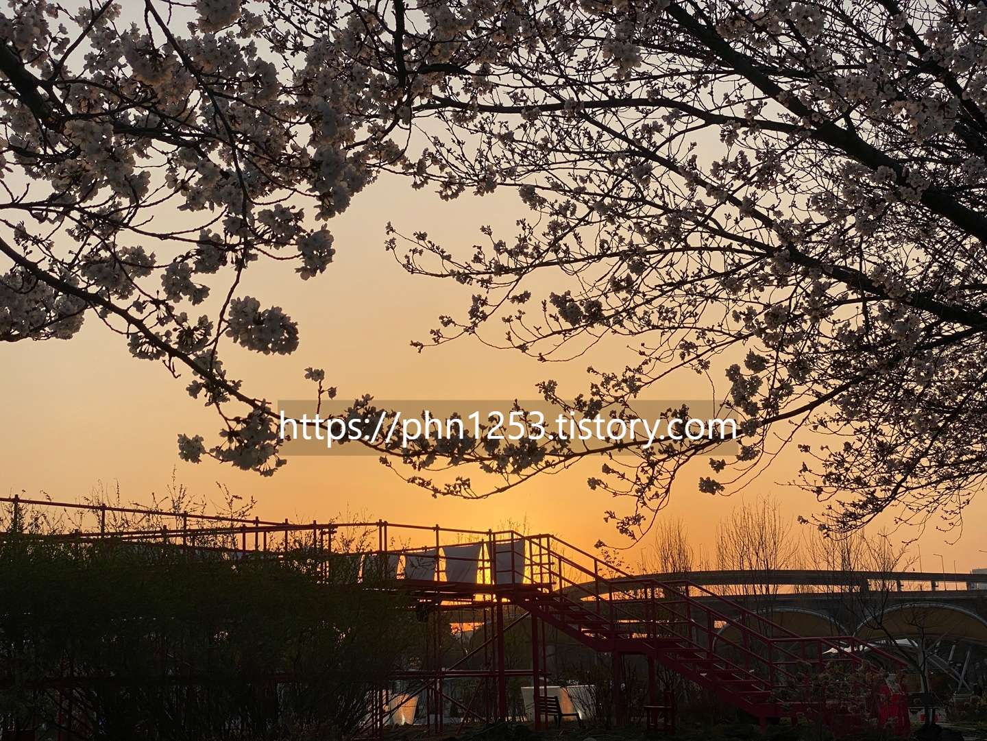 Alt 속성 문제 해결 설명 이미지